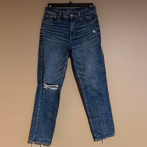 American Eagle Outfitters Blue Straight Leg Jeans